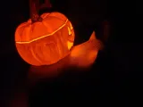 Spooky Bulbasaur-5