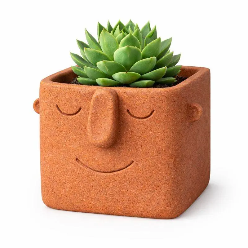 Face Pot Planter - Succulent - Cactus - Potus