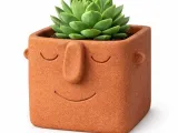 Face Pot Planter - Succulent - Cactus - Potus-0