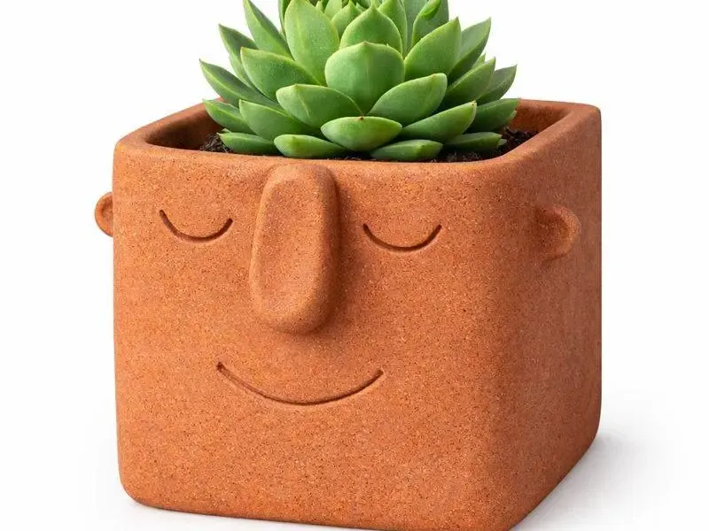 Face Pot Planter - Succulent - Cactus - Potus