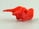 リザードンの頭蓋骨 ポケモン-4
