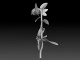 fairy girl 4 2026 3D print model-3