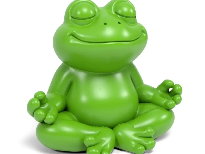Zen Frog