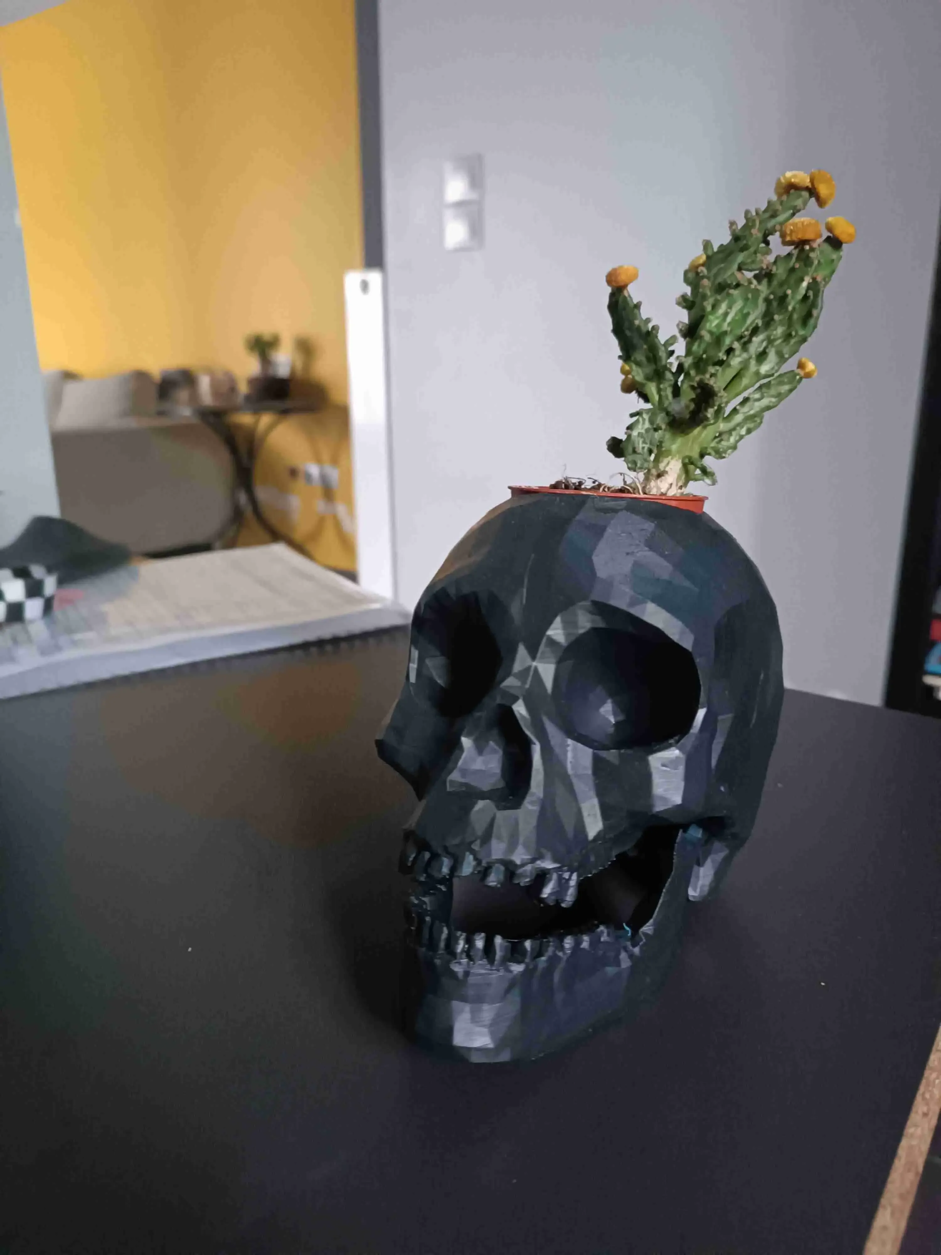 skull plant vase