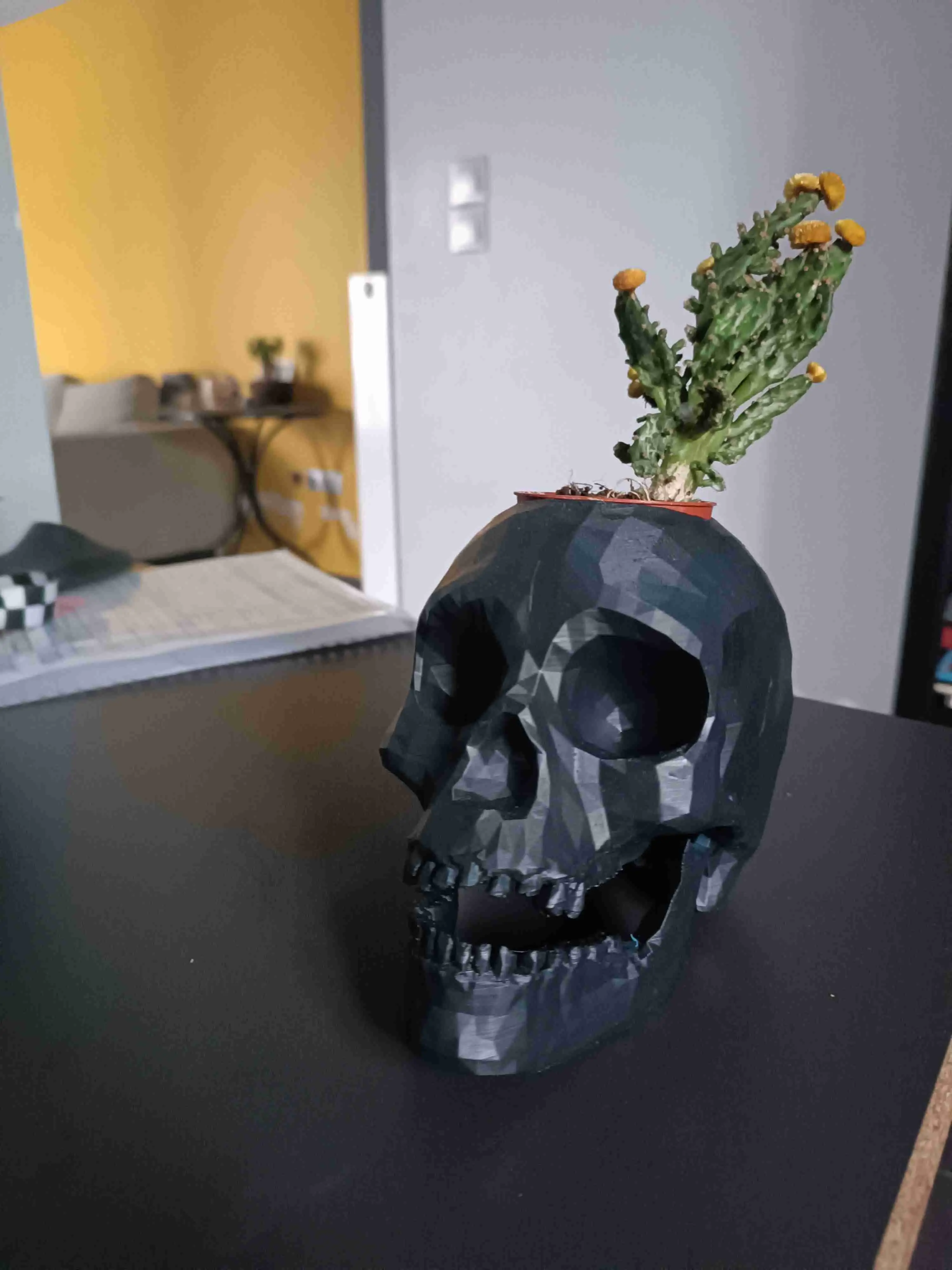 skull plant vase