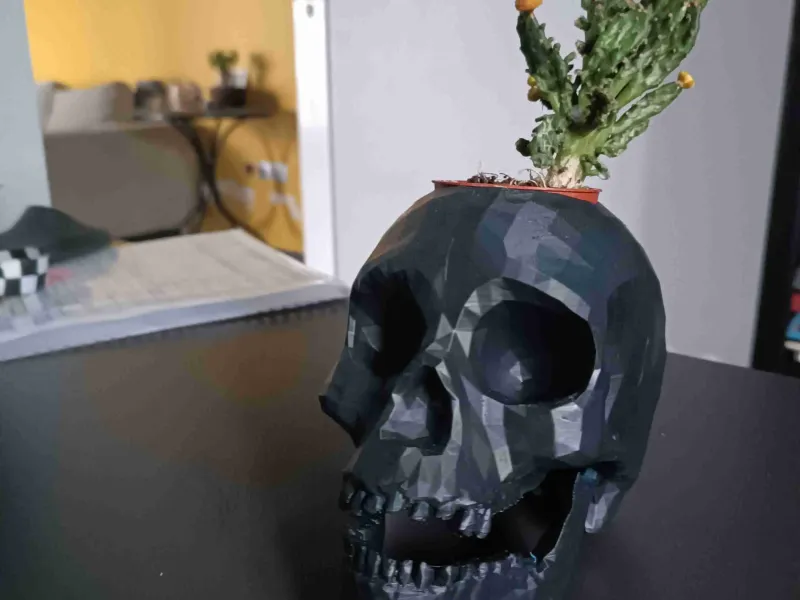 vase pour plantes à tête de mort