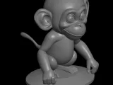 monkey model-4