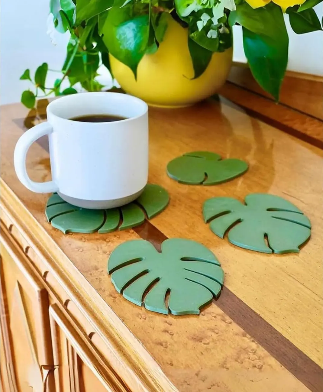 Monstera coasters 