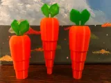 Carrot-0