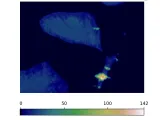 Mapa da Ilha do Mel-0