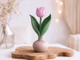 Tulip Bulb Decor | Spring Flower Display-5