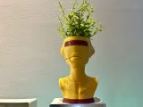 BOT PLANTER-0