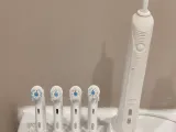 Toothbrushes stand-4