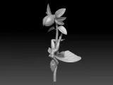 fairy girl 4 2026 3D print model-2