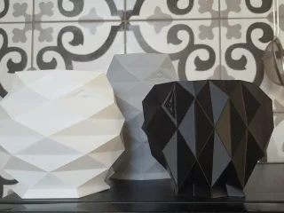 Fish vases