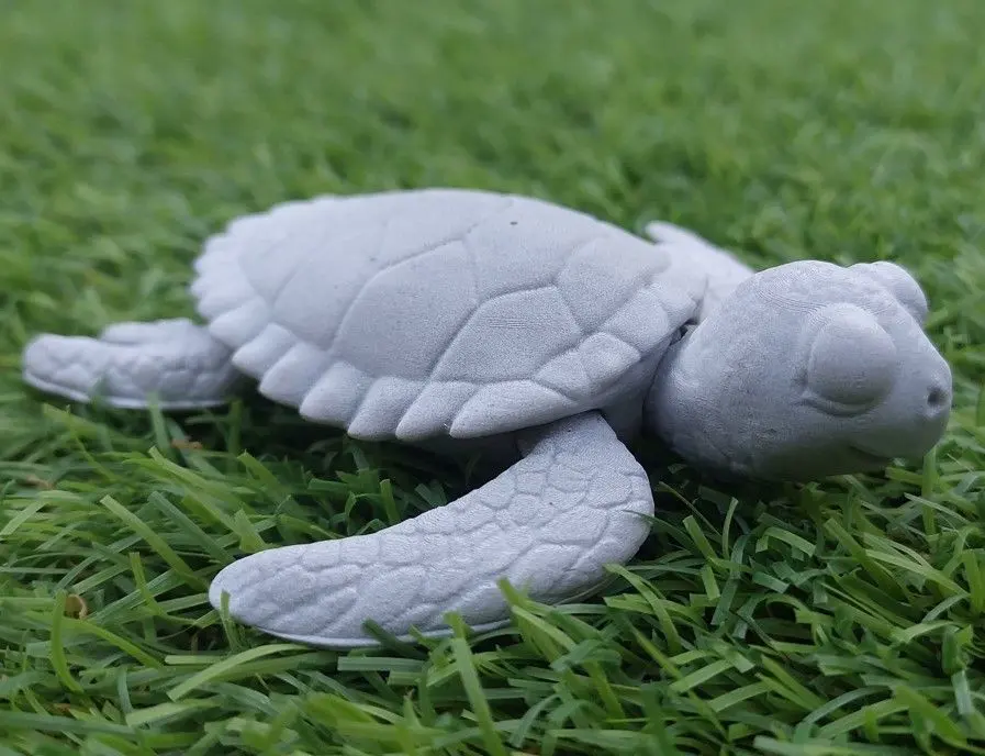 Baby Sea Turtle