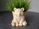 Cute Bear Planter-4