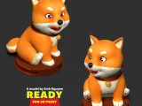 Shiba Inu-3