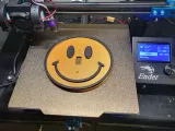 Copri interruttore Smiley-1