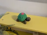 Cute Turtle Multipart Toy-1