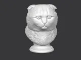 Scottish Fold Cat Bust-1