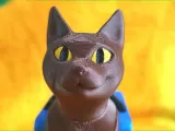 Cat with Wheelchair-6