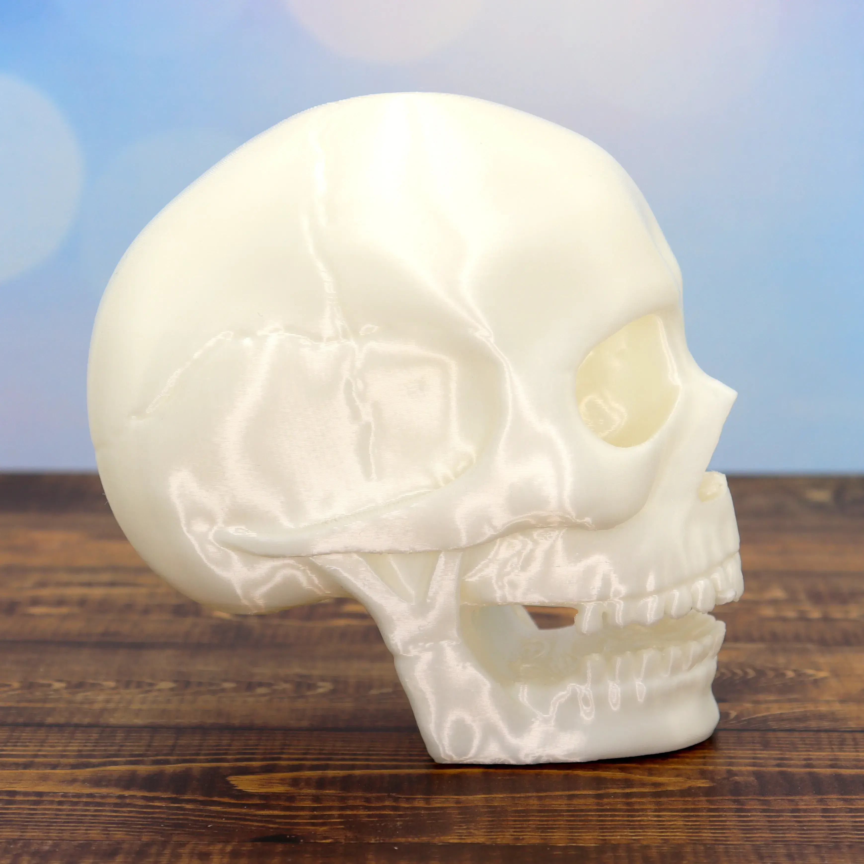 Spooky Skull Halloween decor