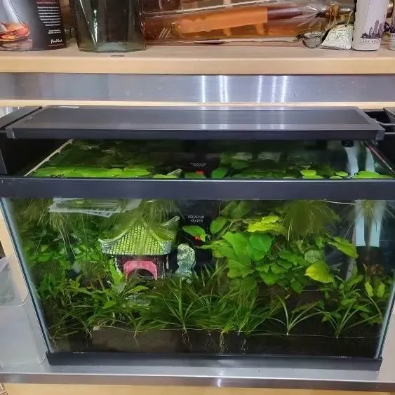 Elevadores o soportes para acuario LED Hygger
