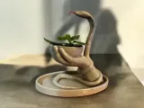 FLOWER POT - CANDLE HOLDER - SNAKE BOWL DECOR – HAND SCULPTU-4