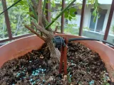 Sprinkler support-1