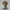 3372 Medusa Gorgon Head Color 3D Model  Witch  STL