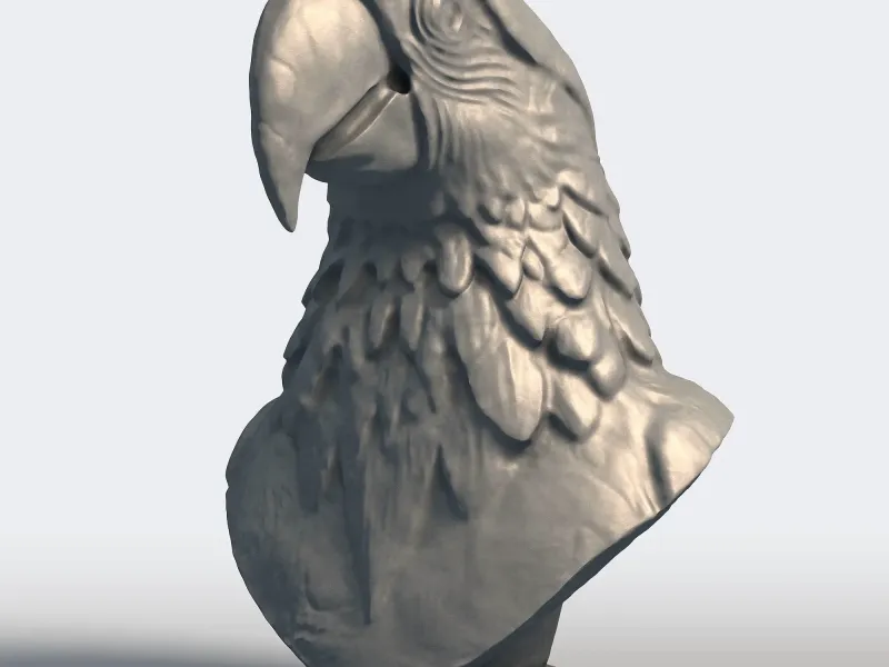 Scarlet Macaw Bust Sculpture - Tropical Parrot Statue