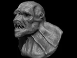 Orc-3