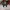 Cabeça do Mickey de Natal com Castelo da Disney e Nome