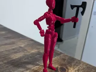 C13 female