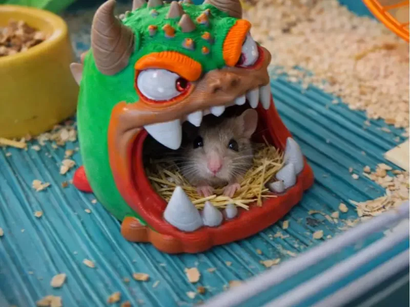 Monsterhuisje