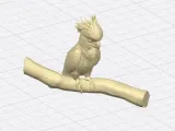 Cockatoo-3