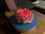 levitating water lily-7