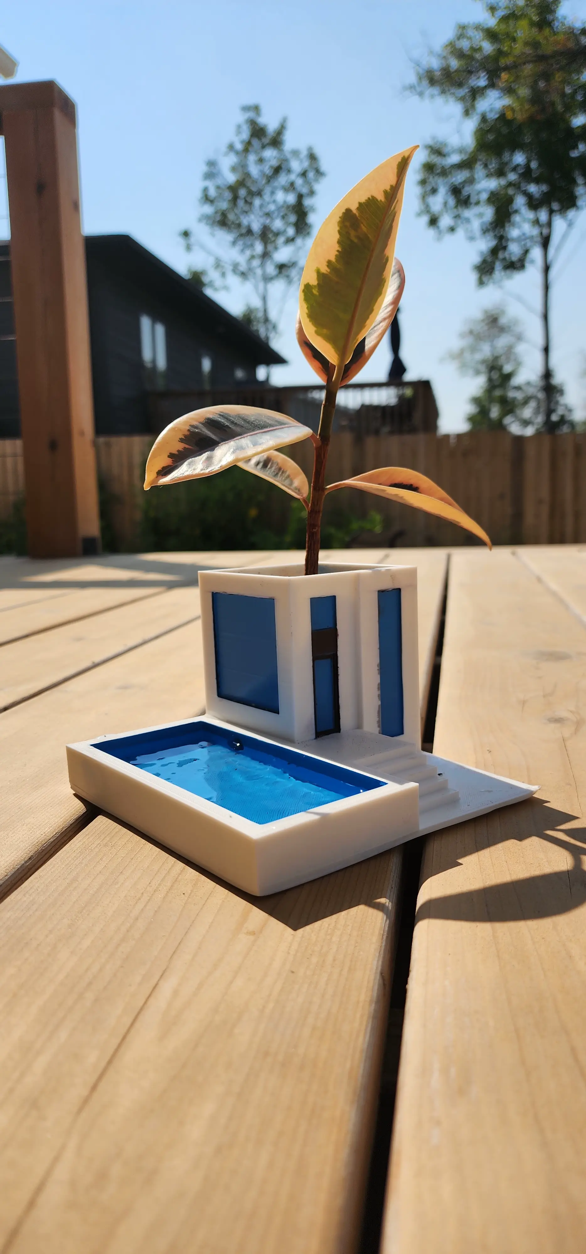 MODERN HOUSE PLANTER V2