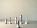 Chess Set Magnets-7