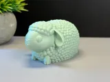 Cute Sheep-7