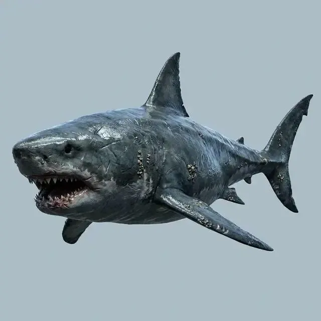 Megalodonte