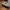 dj_foot (thingyverse)