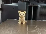 Cute Pitbull Puppy-4