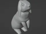 Lapin bélier-5