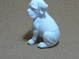 Boxer filhote-2