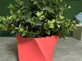 Vase-0