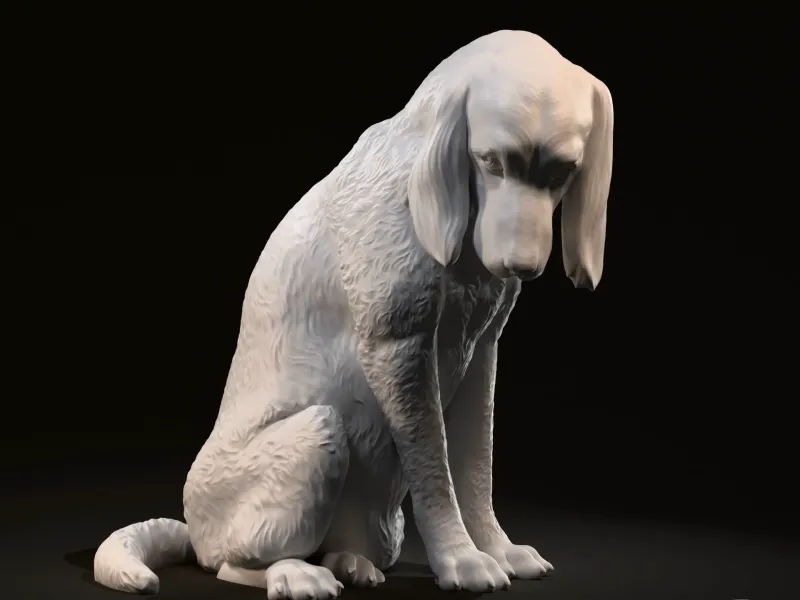 Guilty young labrador