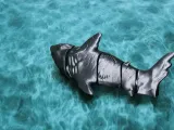 Dark Horror Shark!-2