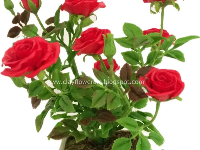 Mini Potted Plants